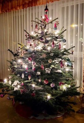 FREUEN SIE SICH AUF GLÜCKLICHE FAMILIENWEIHNACHTEN 2026 IM EIGENEN HAUS! TELEFON 01714863595