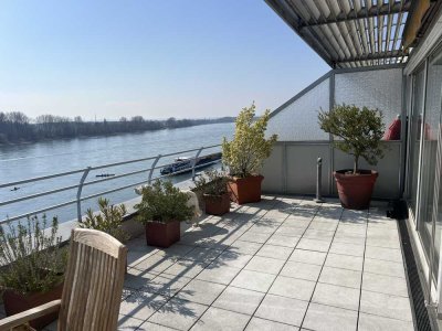 Luxuriöse 2-Zimmer Wohnung mit Dachterrasse  in Köln-Weiß