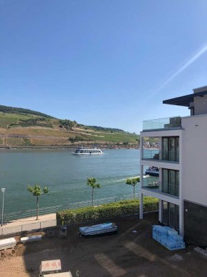 Traumhafte schöne 2-Zimmer-Wohnung mit Rheinblick - ab sofort oder spätestens zum 01.10.25 verfügbar