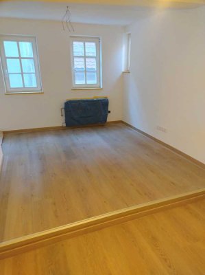 komplett saniertes 1-Zi-Apartment mit EBK in Top-Lage. Provisionsfrei.