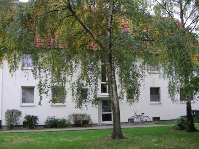 3-Zimmer-Dachgeschoss im Kattenberg