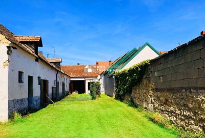 Burgenländischer Streckhof im Original -am Neusiedlersee