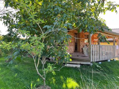 Tiny House zu vermieten im Südschwarzwald