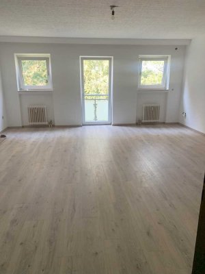 Großzügig geschnittenes, helles und renoviertes Apartment mit einem französischen Balkon