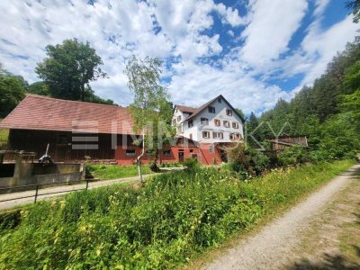 ** Alleinlage - Naturidylle - Ihr neues Landhaus **