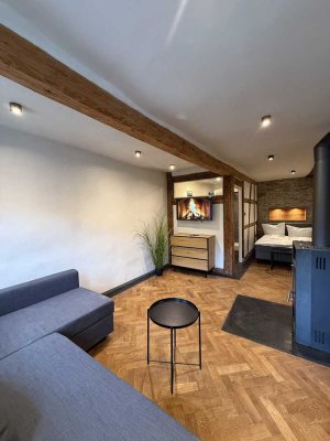 möblierte 1-Zimmer-Wohnung - ideal für Berufstätige & Expats - sofort bezugsfrei!