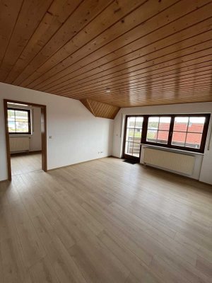 Neu renovierte 2-Zimmer-Wohnung mit Balkon in Allersberg