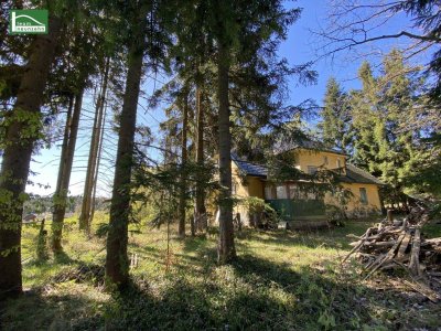 Aus alt mach neu - Historisches Einfamilienhaus in Alleinlage am Hügel in Bad Großpertholz mit großem Garten