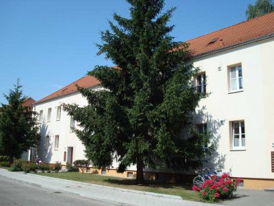 2-Raum-Wohnung im EG mit Dusche zu vermieten!