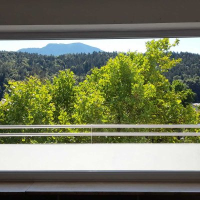 2- Zimmerwohnung Südlage mit sonnigem Balkon