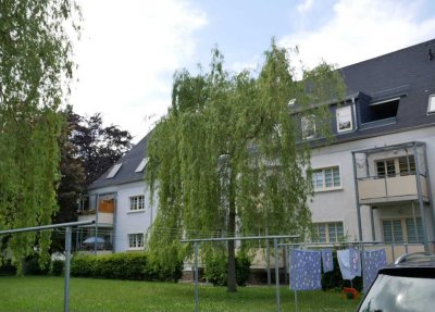 3 Zimmer Wohnung zu vermieten