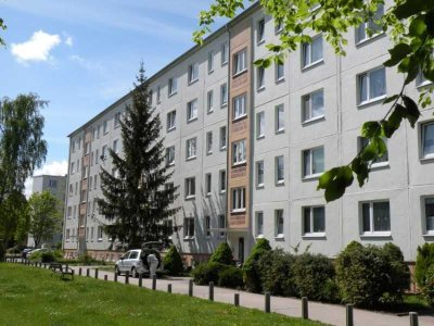 Frisch sanierte 2 Raumwohnung!