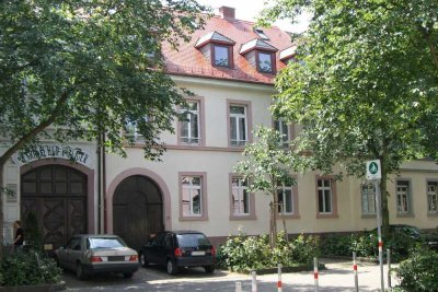Historisches Wohn und Geschäftshaus mit parkähnlichem Garten und Potenzial für weiteren Neubau.
