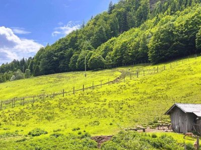 Neu sanierte Wohnung in St. Gilgen