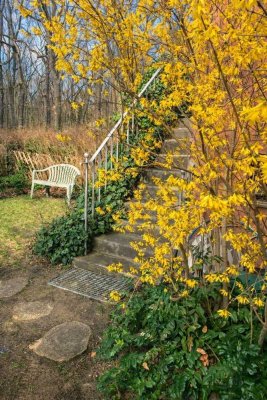 Perfekte 5 Zimmer-Wohnung mit Garten am Jungfernheidepark direkt vom Eigentümer (provisionsfrei)