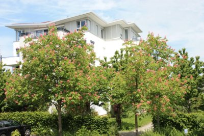 Helle gepflegte 2-Zimmerwohnung mit Terrasse in Reutlingen von Privat zum Verkauf