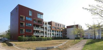 Einziehen und Wohlfühlen - tolle 1-Zimmer-Wohnung mit Terrasse // EG mitte