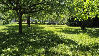 Ruhig, sonnig, zentral, sehr schönes Grundstück, mit renovierungsbedürftigem Haus, ausbaubarer Rohdachboden