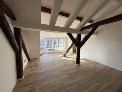 Exklusive Loft-DG-Wohnung mit 42 m² Dachterrasse & Blick über Erlangen!