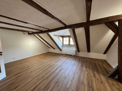 Neu sanierte 1-Zimmerwohnung in Ravensburg
