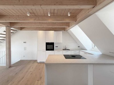 Neubau-Erstbezug: Exklusive 5,5-Zi. Maisonette mit Galerie, EBK, sonniger Dachterrasse & Burgenblick