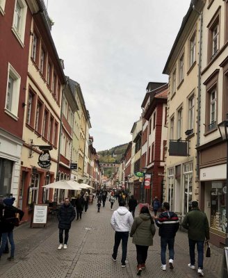 Möblierte Wohnung, 70qm, 2 Zimmer Wohnung zzgl. offener Wohnküche u. Terrasse in Heidelberg Altstadt