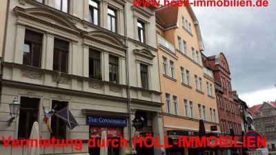 Höll-Immobilien vermietet sehr schöne 2,5-Raum-Wohnung in der City von Halle mit großer Terrasse.