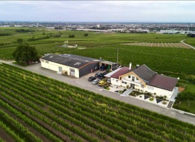 Wohnen in den Weinbergen (Wohnhaus, Einliegerw. & Halle) auf 3.555qm in Landau / Nußdorf (§35 BauGB)