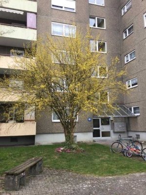 Neu-renovierte 2-Zimmer-Wohnung
