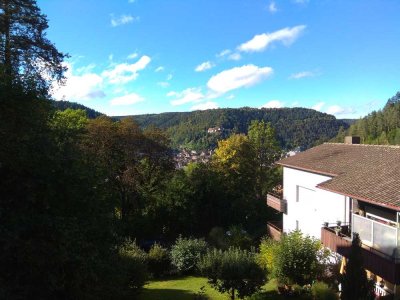Renovierte 2 Zimmer-Wohnung mit Balkon und EBK in Bad Liebenzell, Kaffeehof
