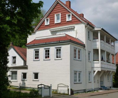 Mehrfamilienhaus/ 6 Wohneinheiten u. Ferienhaus  in Bad Grund/Harz