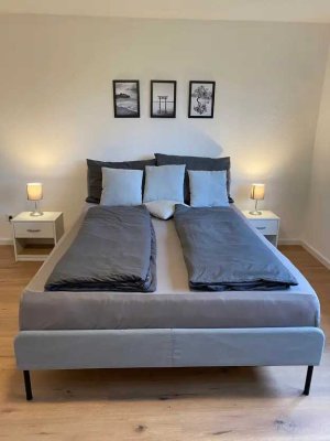 2 Zimmer Wohnung mit Terrasse in Neckargemünd, frisch renoviert