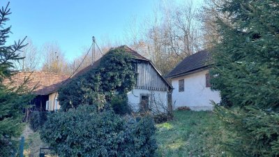 "In Kaufabwicklung" Wer küsst Dornröschen wach