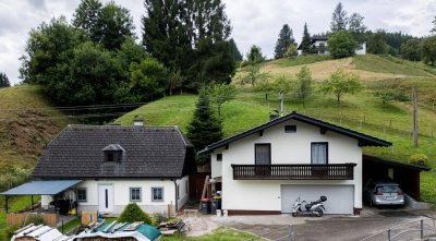 Traunsee - Altmünster - Reindlmühl, Natur pur etwas abseits des Trubels