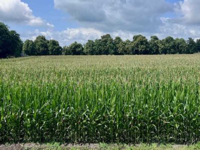Wohlfühlwohnung mit Loggia am Gröningshof in Dangast - DG