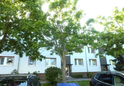 2-Raumwohnung im Zentrum von Werder/Havel