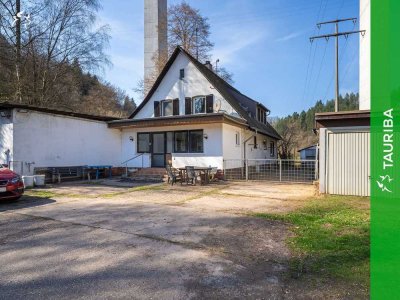 +++Raum für Visionen - Anwesen in Alleinlage mit Halle, Stall und 10.000 m² Grundstück+++