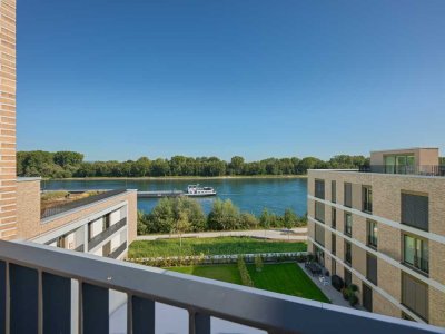 Der Rhein als Nachbar: Penthouse mit Panorama-Dachterrasse