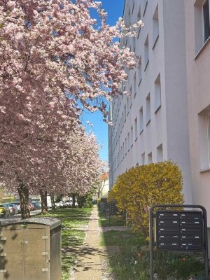 Zuhause fühlen: praktische 3-Zimmer-Wohnung