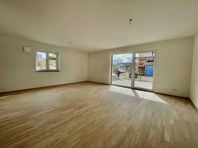 3 Zimmer Wohnung Unterdietfurt