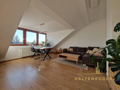 Bezaubernde 4-Zimmer-Wohnung + uneinsehbarer Dachterrasse mit Weitblick &amp; Garten