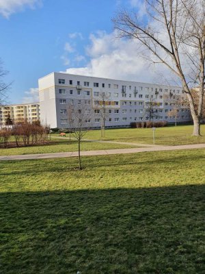 Helle 3-Raumwohnung im Grünen