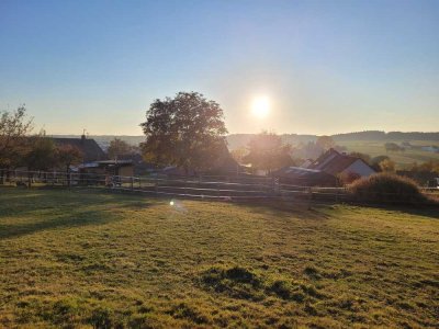 Bauernhof in traumhafter ruhiger Ortsrandlage in Weihungszell.   Familien- und Tierparadies!