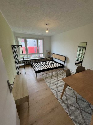 vollmöbliertes WG Zimmer in Top Lage in Mainz mit Balkon