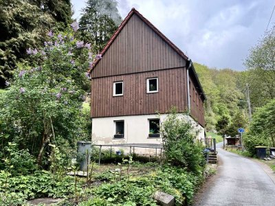 EFH mit Garten in Bad Schandau - Innenausbau fehlt noch