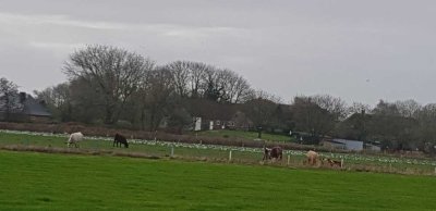 Großzügiges sonniges Bauernhaus, Ferienwohnung, Garten auf einer Warft an der Nordsee! ohne Markler!