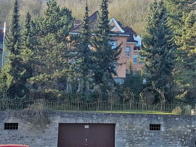 2,5 Zimmer Maisonettewohnung mit Blick auf den Main