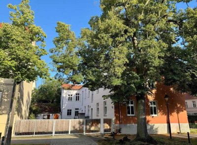 Stilvolle 1-Zimmer-Altbauwohnung mit Hofidylle nähe Park in Potsdam-Babelsberg
