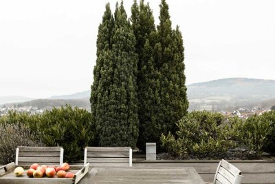 Apartment mit Penthouse-Charakter und Burgblick in Königstein