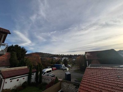 Helle 4-Zimmer Wohnung mit Balkon in Weingarten inkl. Einbauküche